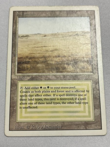 画像1: 《Savannah》[3ED] MP (1)