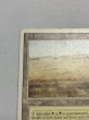 画像2: 《Savannah》[3ED] MP (2)
