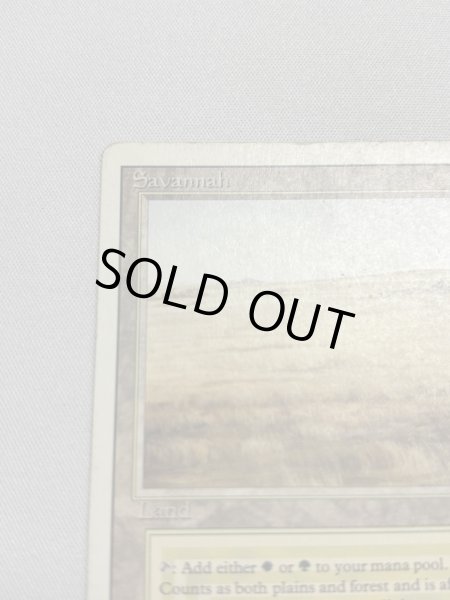 画像2: 《Savannah》[3ED] MP (2)