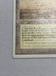 画像4: 《Savannah》[3ED] MP (4)