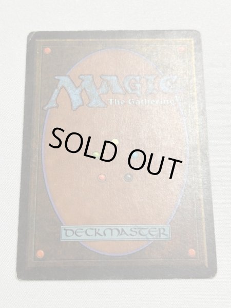 画像6: 《Savannah》[3ED] MP (6)