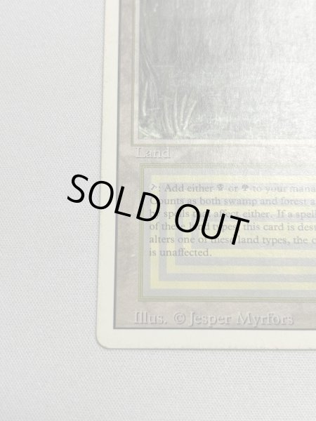 画像4: 《Bayou》[3ED] SP (4)