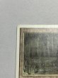 画像2: 《Bayou》[3ED] MP (2)