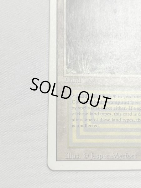 画像4: 《Bayou》[3ED] MP (4)