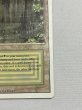 画像5: 《Bayou》[3ED] MP (5)