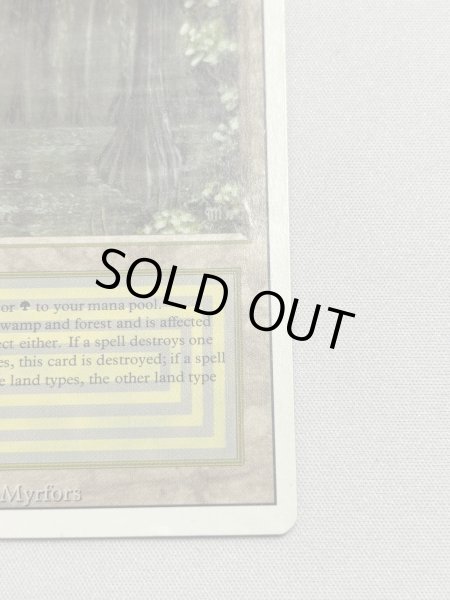 画像5: 《Bayou》[3ED] MP (5)