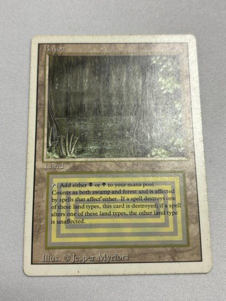 画像1: 《Bayou》[3ED] MP (1)