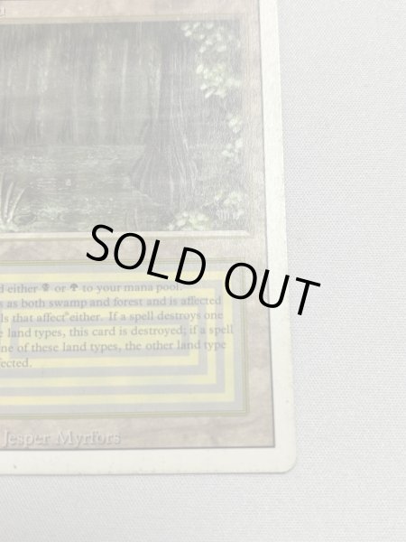 画像5: 《Bayou》[3ED] MP (5)