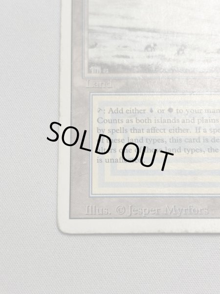 画像4: 《Tundra》[3ED] HP (4)