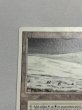 画像2: 《Tundra》[3ED] MP (2)
