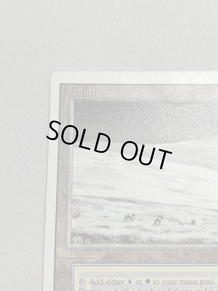 画像2: 《Tundra》[3ED] MP (2)