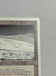 画像3: 《Tundra》[3ED] MP (3)