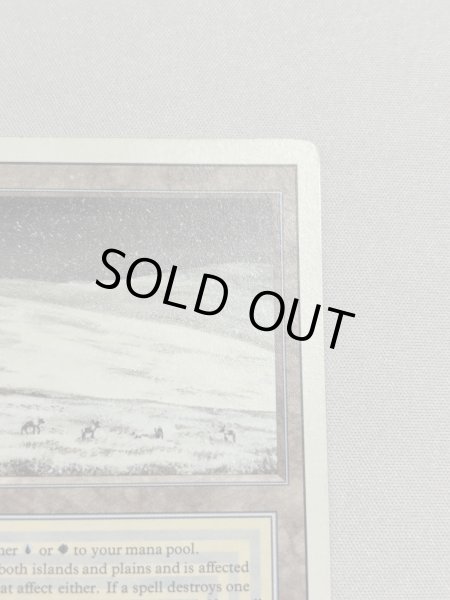 画像3: 《Tundra》[3ED] MP (3)