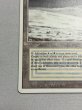 画像4: 《Tundra》[3ED] MP (4)