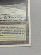 画像5: 《Tundra》[3ED] MP (5)