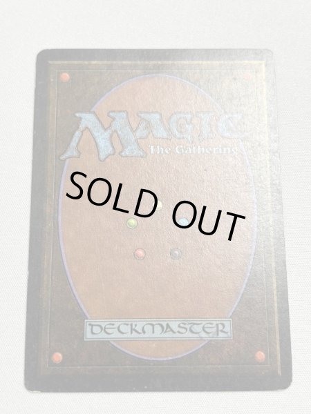 画像6: 《Tundra》[3ED] MP (6)