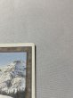 画像3: 《Taiga》[3ED] SP (3)