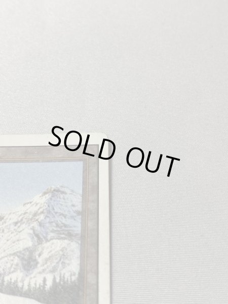 画像3: 《Taiga》[3ED] SP (3)