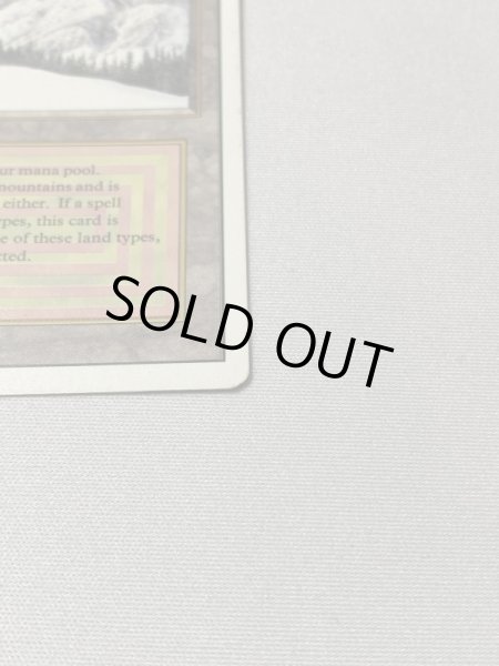 画像4: 《Taiga》[3ED] SP (4)