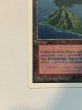 画像4: 《Volcanic Island》[2ED]  MP (4)