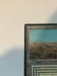 画像2: 《Scrubland》[3EDBB]  HP サインド (2)