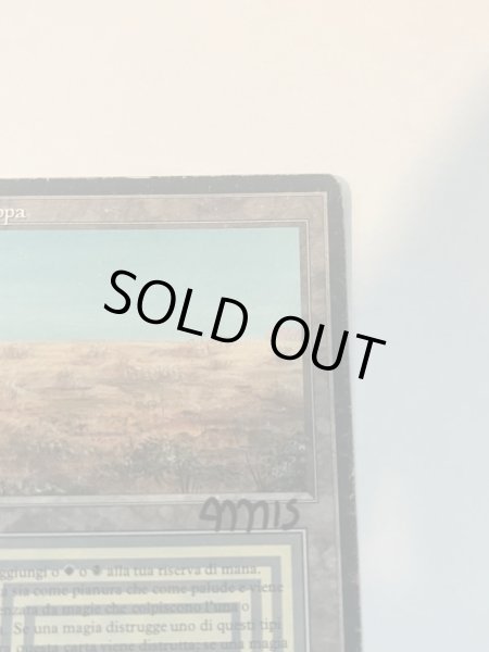 画像3: 《Scrubland》[3EDBB]  HP サインド (3)