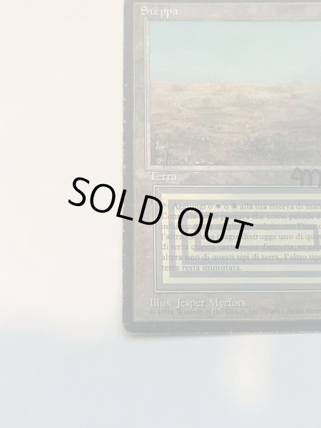 画像4: 《Scrubland》[3EDBB]  HP サインド (4)