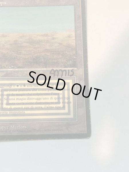 画像5: 《Scrubland》[3EDBB]  HP サインド (5)