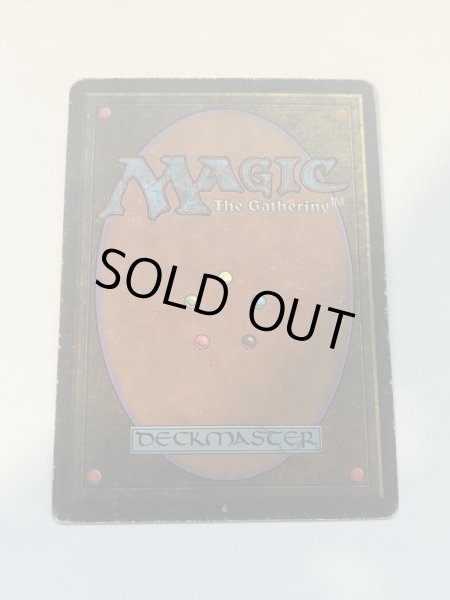 画像6: 《Scrubland》[3EDBB]  HP サインド (6)