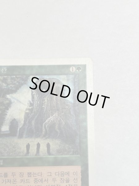 画像3: 《森の知恵/Sylvan Library》[5ED] MP 韓国語 (3)