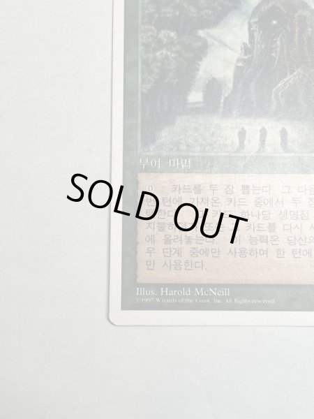 画像4: 《森の知恵/Sylvan Library》[5ED] MP 韓国語 (4)