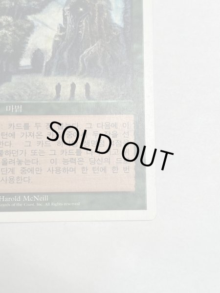 画像5: 《森の知恵/Sylvan Library》[5ED] MP 韓国語 (5)