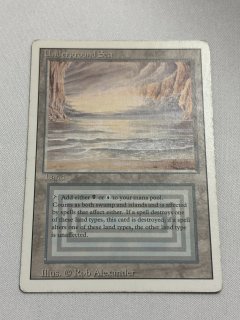 ロイ マナ結合/Manabond MB2 未来予知 foil 未来予知 [ONS] Foil 【BIGWEB | MTG】日本最大級の激安カード