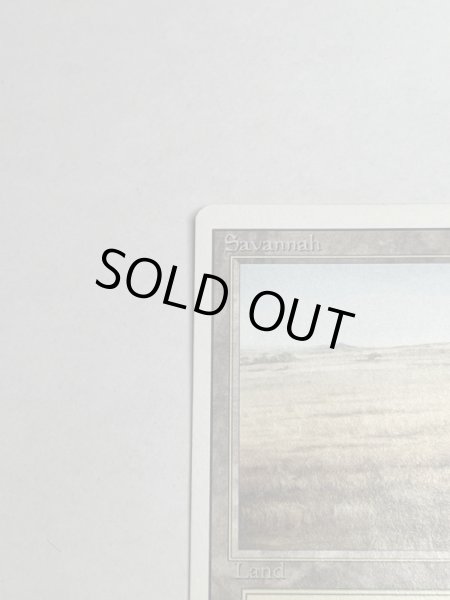 画像2: 《Savannah》[3ED] SP (2)