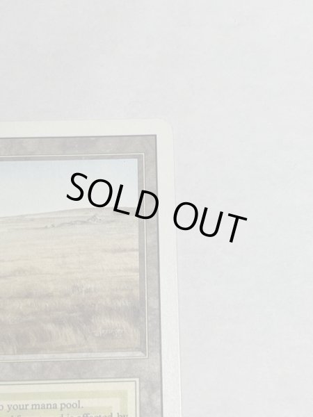 画像3: 《Savannah》[3ED] SP (3)