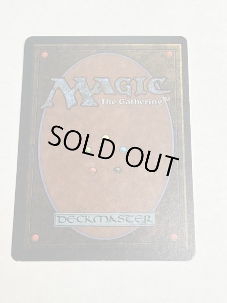 画像6: 《Savannah》[3ED] SP (6)