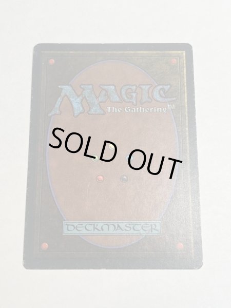 画像6: 《Scrubland》[3ED] MP (6)