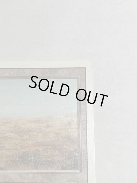 画像3: 《Scrubland》[3ED] NM (3)