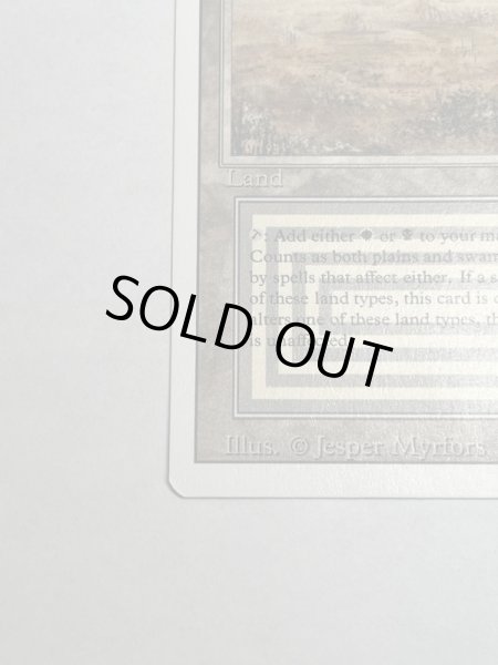 画像4: 《Scrubland》[3ED] NM (4)