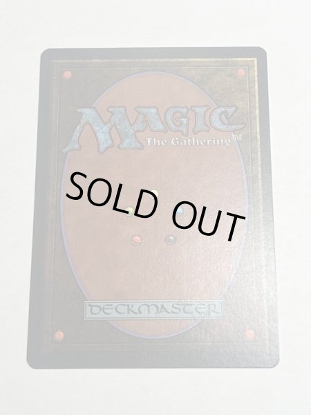 画像6: 《Scrubland》[3ED] NM (6)