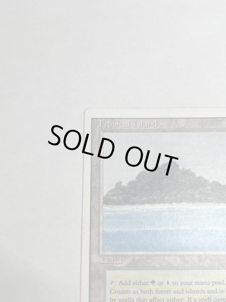 画像2: 《Tropical Island》 3ED MP (2)