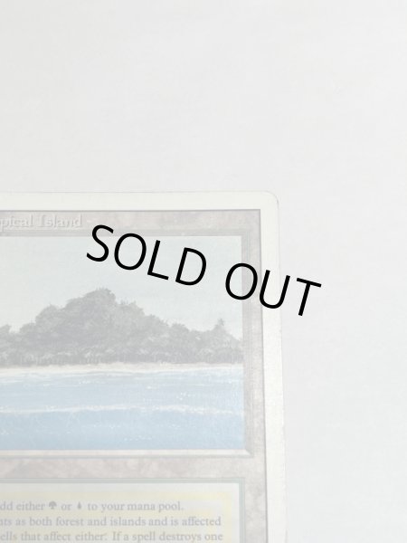 画像3: 《Tropical Island》 3ED MP (3)