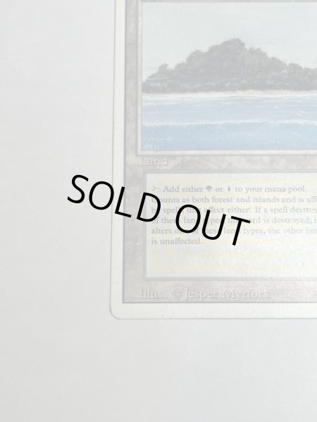 画像4: 《Tropical Island》 3ED MP (4)