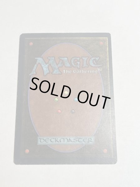 画像6: 《Tropical Island》 3ED MP (6)