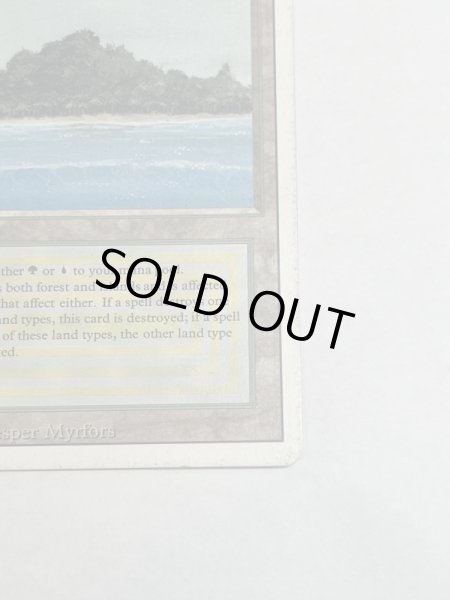 画像5: 《Tropical Island》 3ED MP (5)