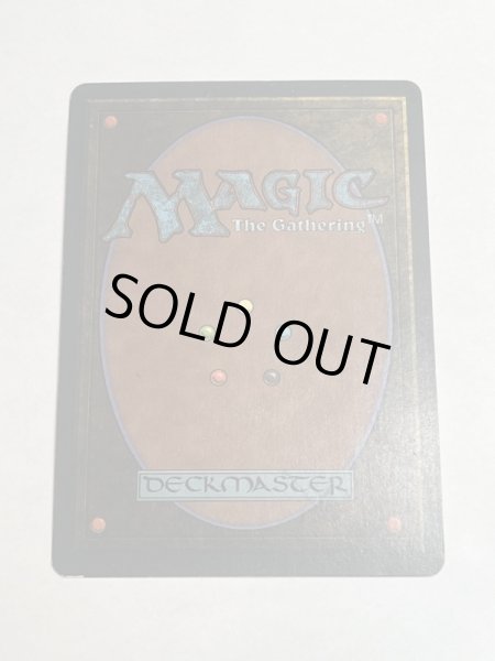 画像6: 《Tropical Island》 3ED MP (6)