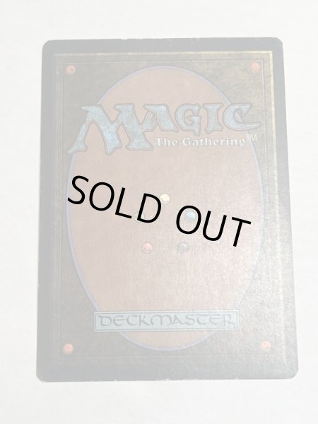 画像6: 《Plateau》[3ED]  HP (6)