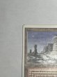 画像2: 《Plateau》[3ED]  HP (2)