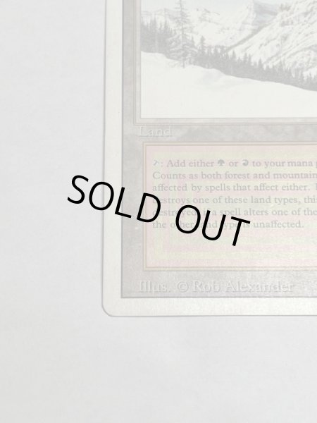 画像4: 《Taiga》3ED HP (4)