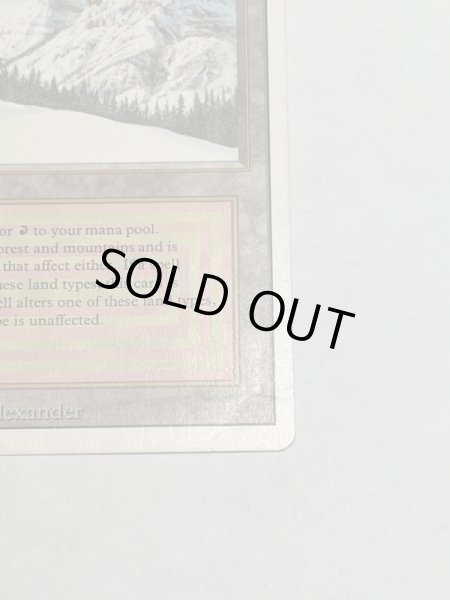 画像5: 《Taiga》3ED HP (5)